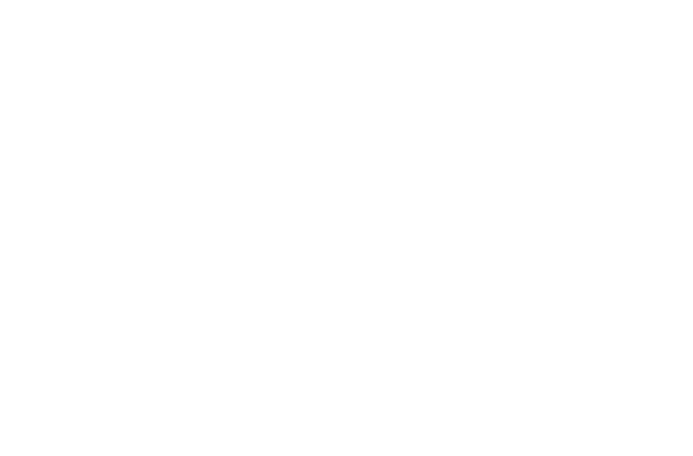 styga-logo-white